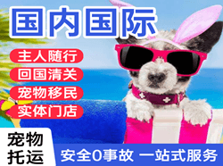 白云航空运输国际宠物托运 【国